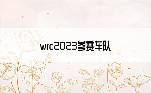 wrc2023参赛车队