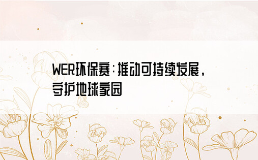 WER环保赛：推动可持续发展，守护地球家园