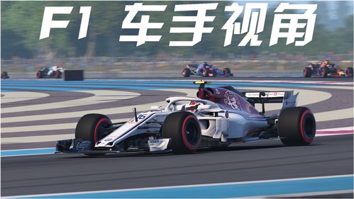 世界f1赛车手排名